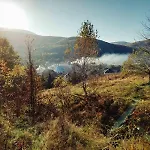 приватна дикий мед