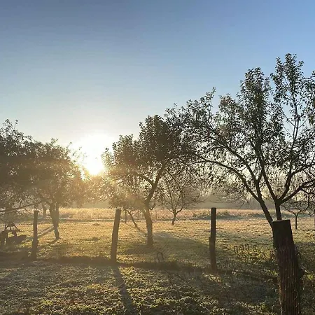 приватна дикий мед Panzió *