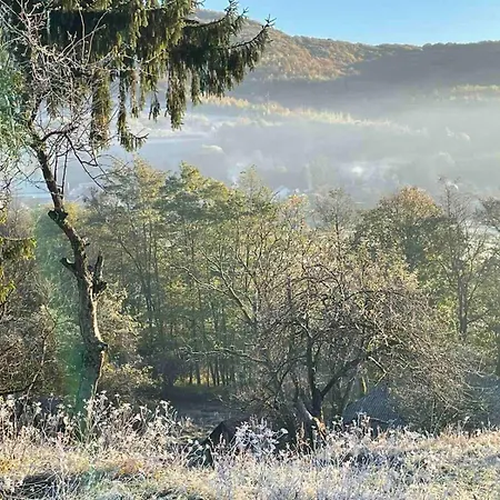 Bed & Breakfast приватна дикий мед *