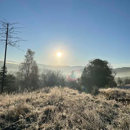 приватна дикий мед *