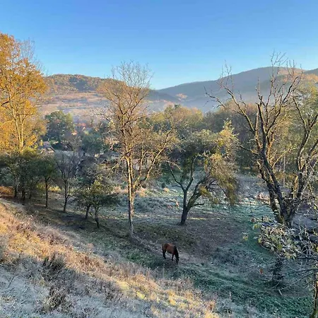 приватна дикий мед Dombostelek