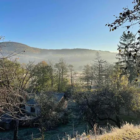 приватна дикий мед * Dombostelek