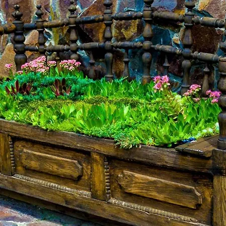 приватна дикий мед