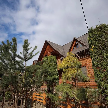 приватна дикий мед