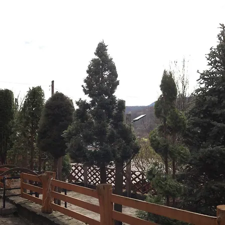 Bed & Breakfast приватна дикий мед Ploskoye