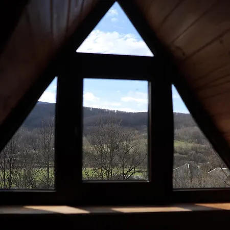 Panzió приватна дикий мед