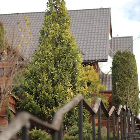 Panzió приватна дикий мед