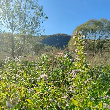 приватна дикий мед Alojamento de Acomodação e Pequeno-almoço