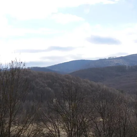 приватна дикий мед * Ploskoye