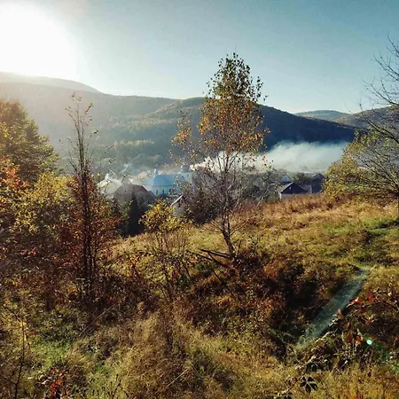 приватна дикий мед