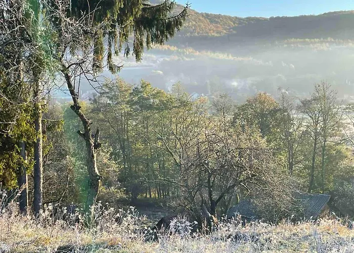 住宿加早餐酒店 приватна дикий мед *